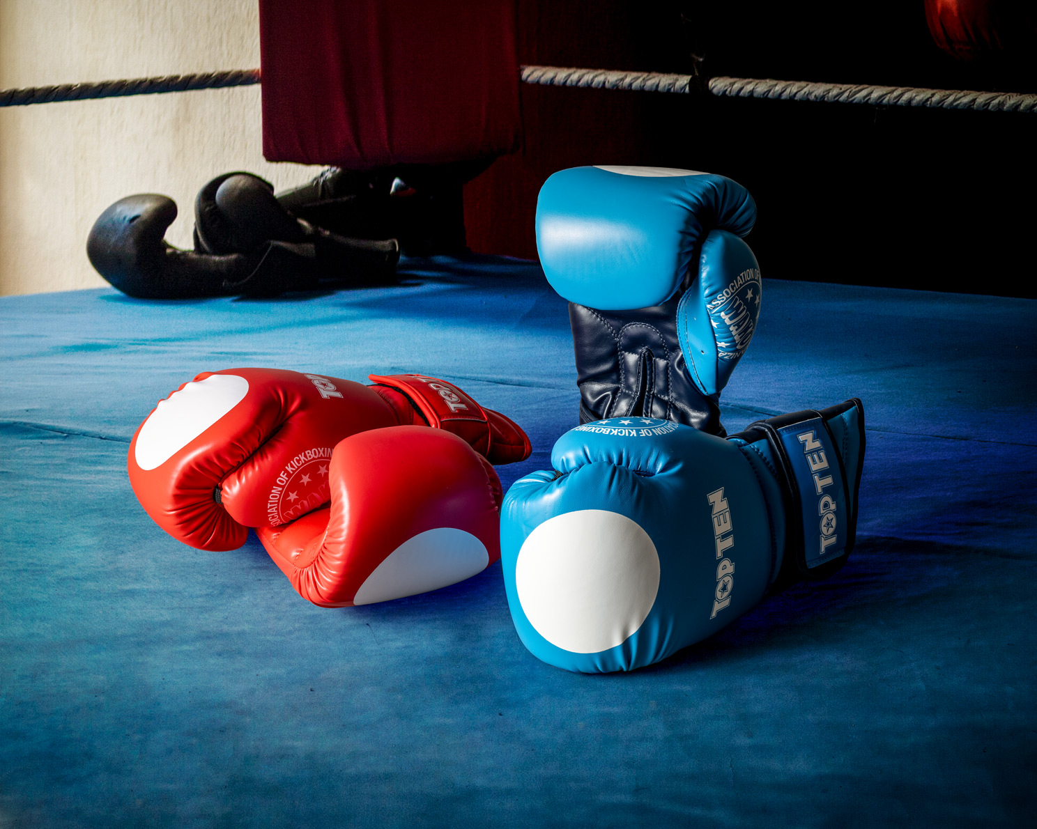 Boxhandschuhe „WAKO GT“