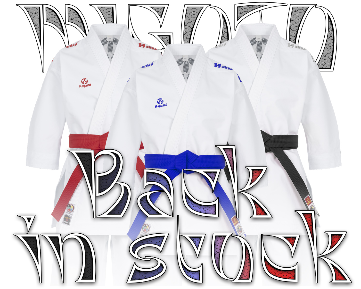 Karate-Gi „Migoto“